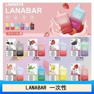 LANA BAR可充电一次性電子煙霧化5000口(3.0%)