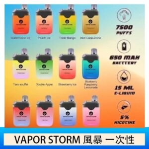 Vapor Storm風暴電子煙7500口(5%)一次性