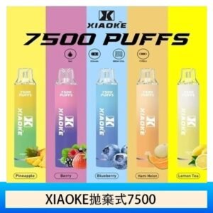 17種口味|梟客一次性電子菸 XIAOKE 7500口 炫酷發光設計