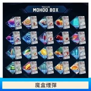 TOKYO Mohoo Box 東京魔盒電子煙主機煙桿